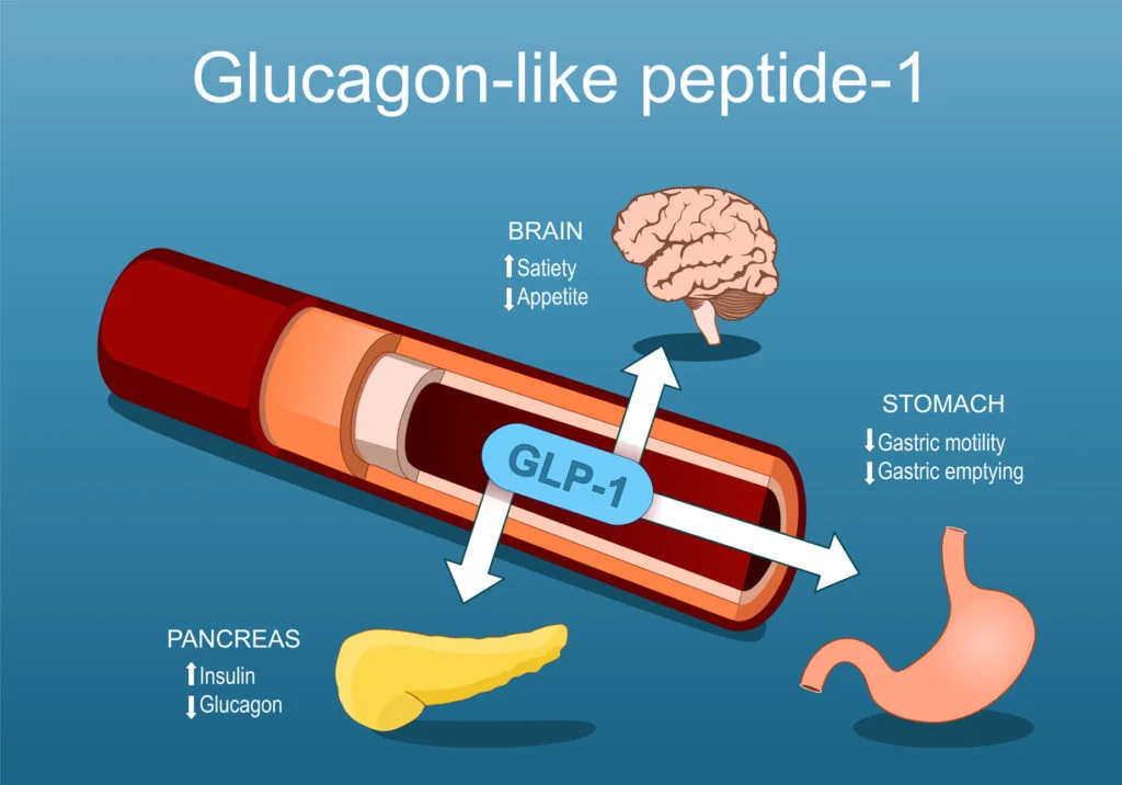 GLP-1 Agonists illustration