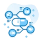 OPTIONAL SUPPLEMENT SUPPORT